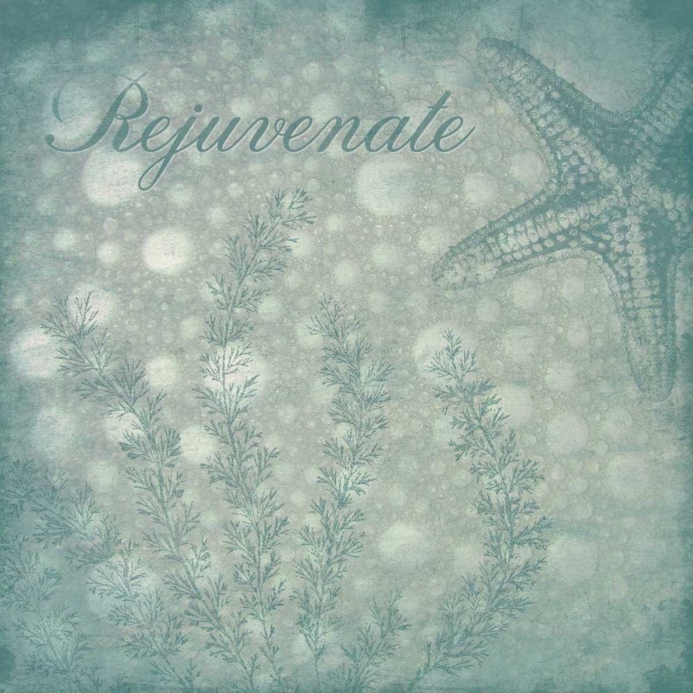 Wall Art Painting id:26904, Name: Rejuvenate bubbles, Artist: Grey, Jace