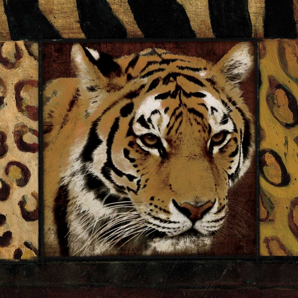 Wall Art Painting id:27122, Name: Tiger No Circles, Artist: Grey, Jace