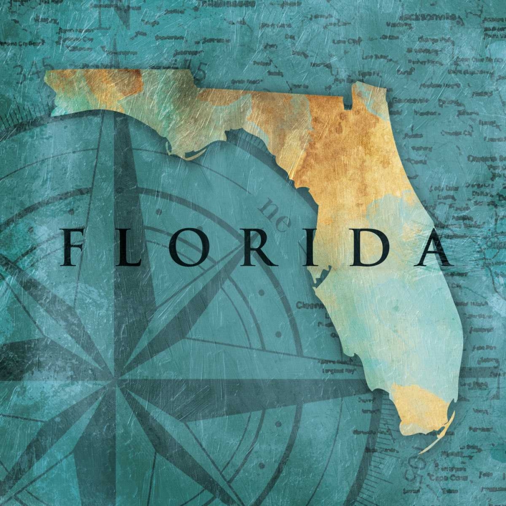 Wall Art Painting id:138066, Name: Florida Sea Map, Artist: Grey, Jace