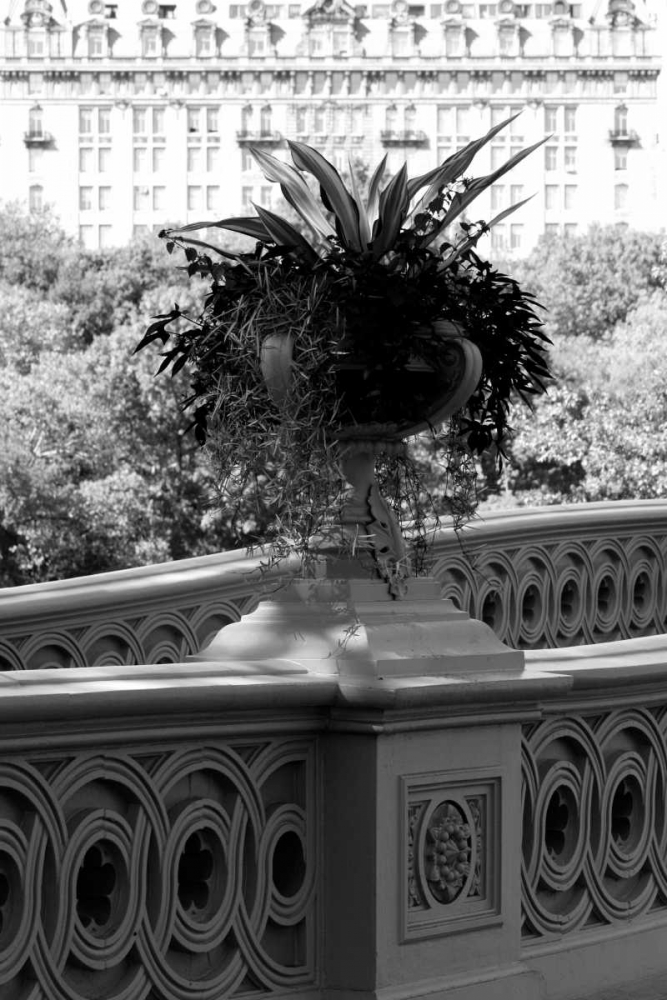 Art Print: Central Park Bridge 5