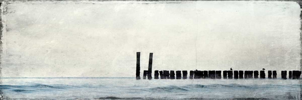 Wall Art Painting id:106548, Name: Horizontal Sea Bed, Artist: Allen, Kimberly
