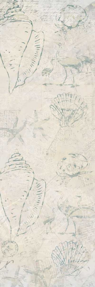 Wall Art Painting id:125787, Name: Coastal Shells, Artist: Allen, Kimberly