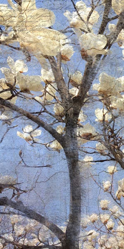 Wall Art Painting id:138083, Name: Magnolia Panel 1, Artist: Allen, Kimberly