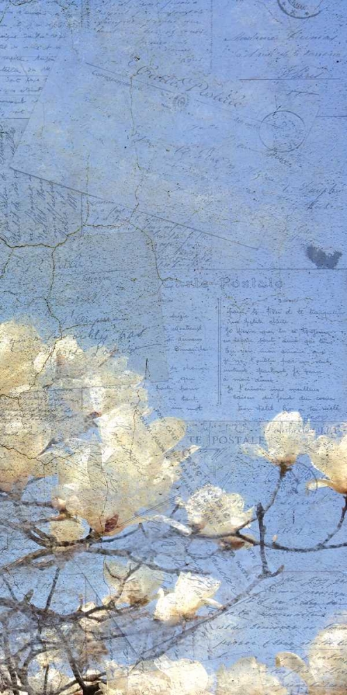 Wall Art Painting id:138085, Name: Magnolia Panel 3, Artist: Allen, Kimberly