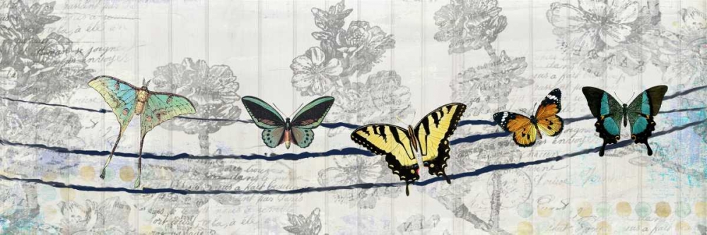 Wall Art Painting id:138108, Name: Butterfly Day, Artist: Allen, Kimberly