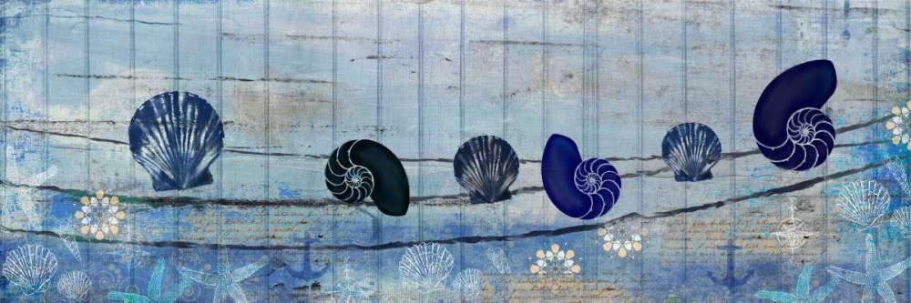Wall Art Painting id:138109, Name: Coastal Shells, Artist: Allen, Kimberly