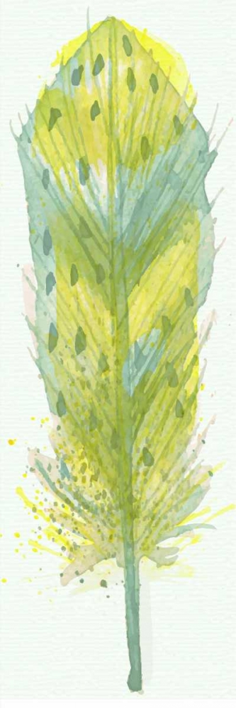 Art Print: Feather Bright 3