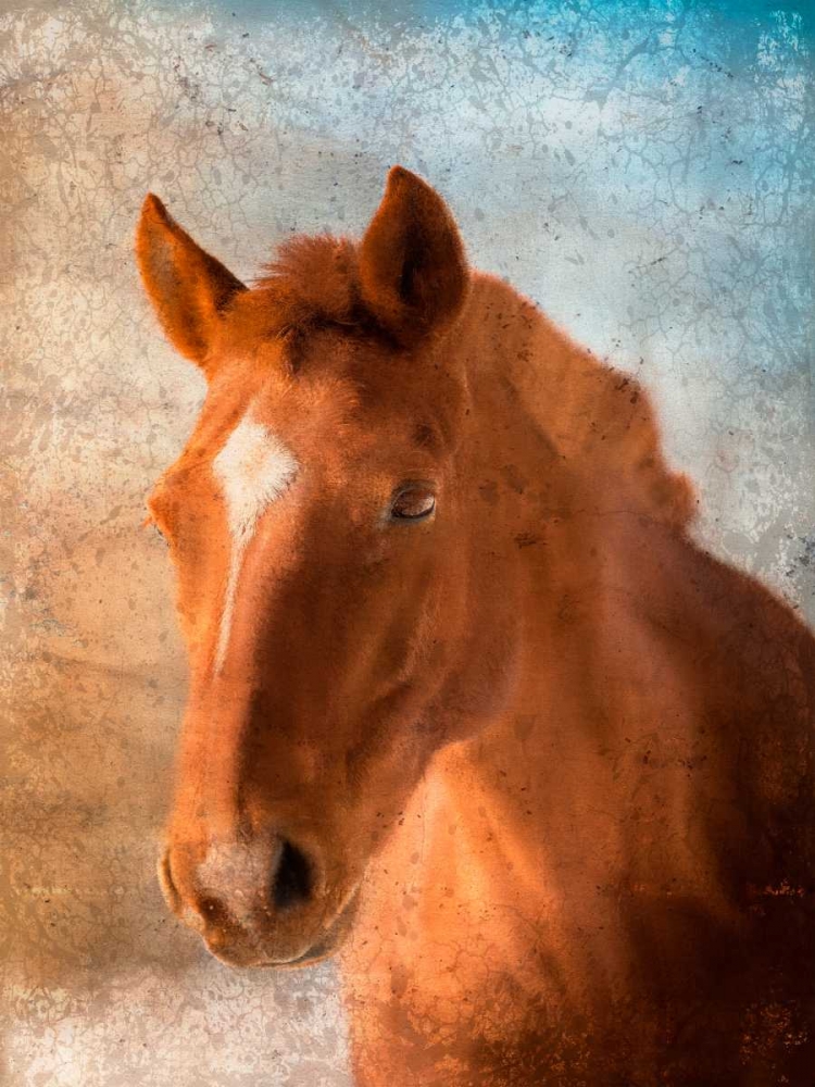 Wall Art Painting id:106561, Name: In Your Eyes, Artist: Allen, Kimberly