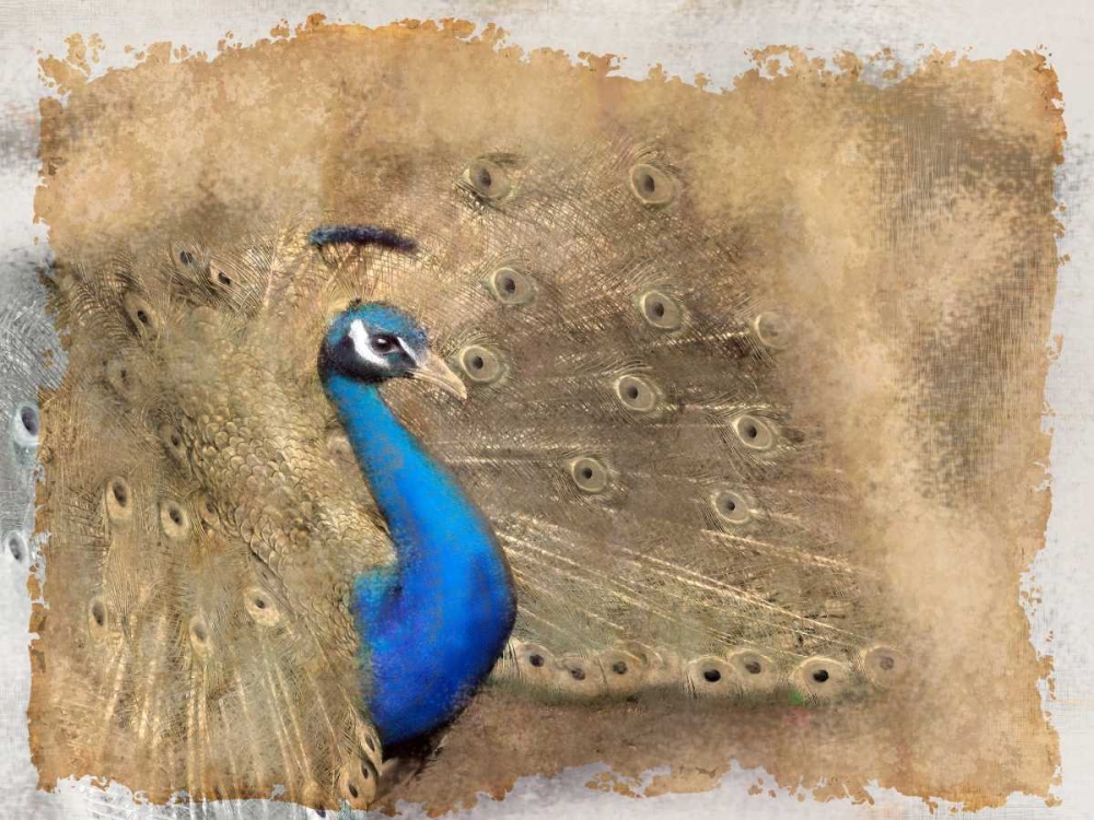 Similar wall art painting: 106565