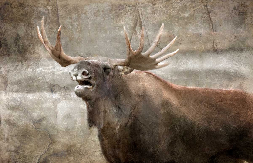 Wall Art Painting id:106575, Name: Winters Day, Artist: Allen, Kimberly