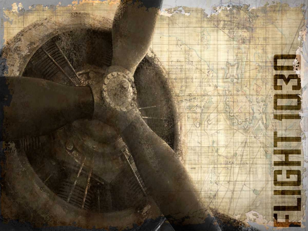 Wall Art Painting id:106577, Name: Vintage Flight 1030, Artist: Allen, Kimberly