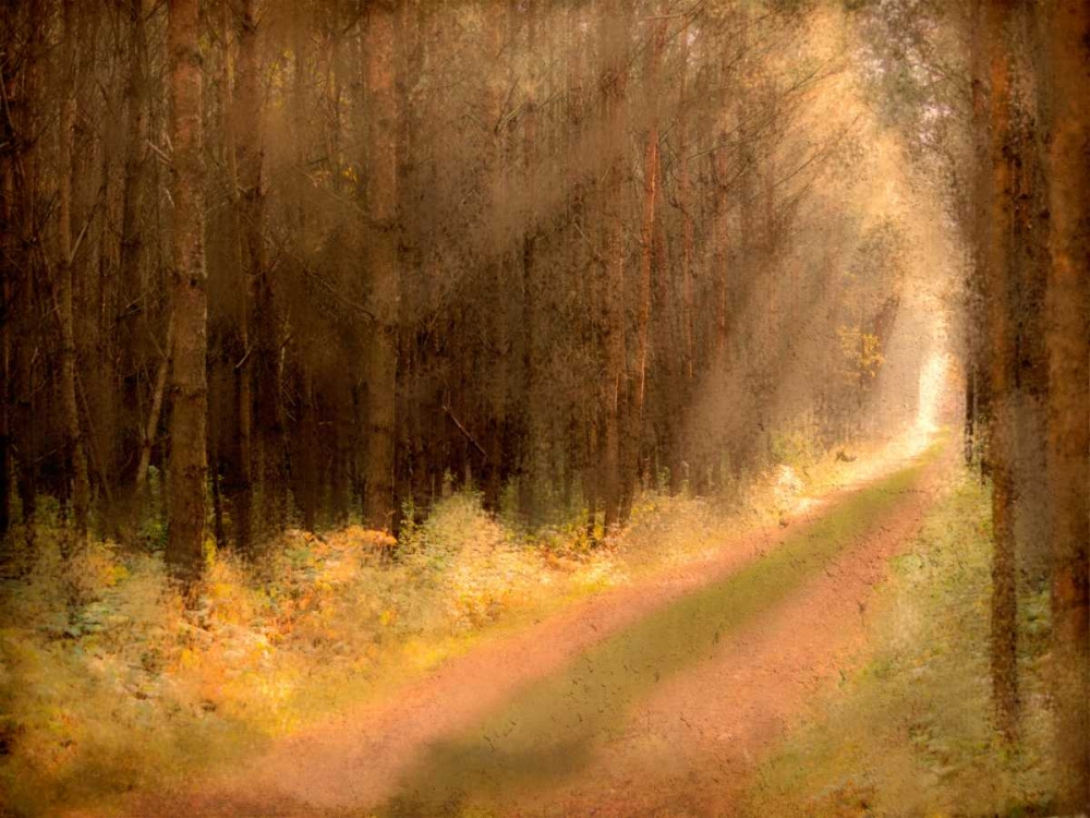 Wall Art Painting id:106582, Name: Road To Enlightenment, Artist: Allen, Kimberly