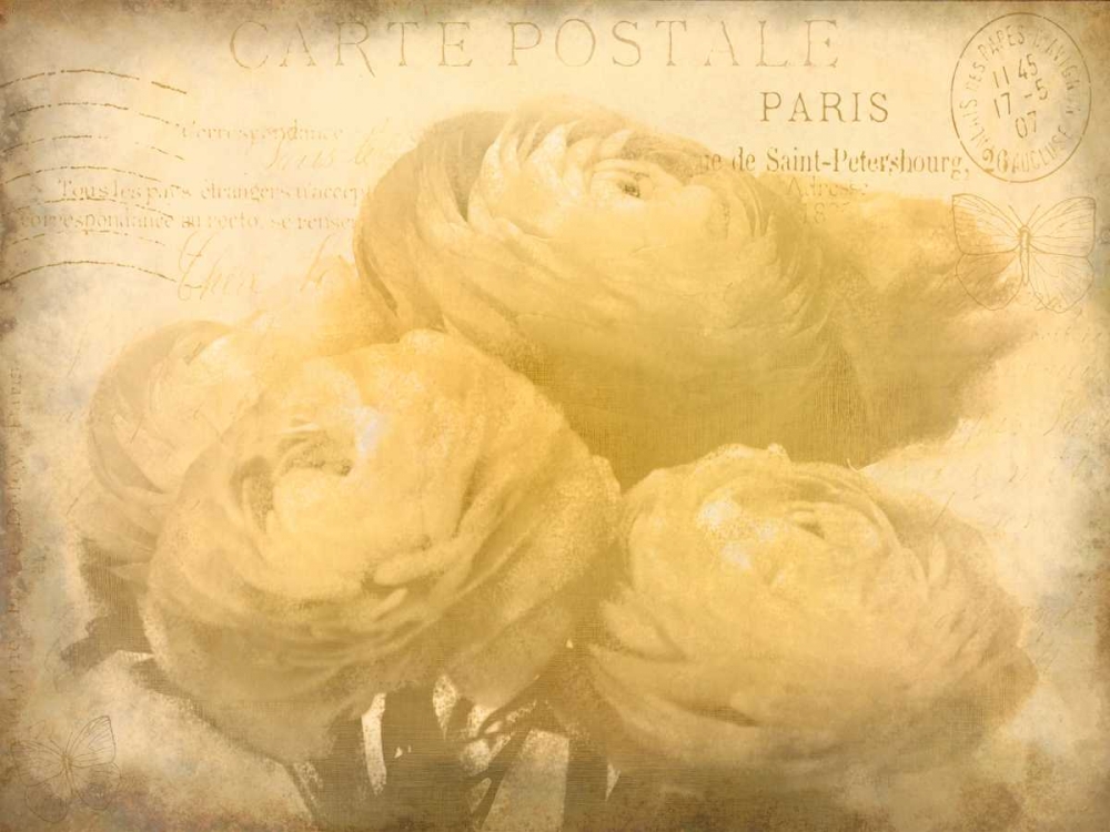 Wall Art Painting id:106585, Name: Ranunkeln Blooms, Artist: Allen, Kimberly