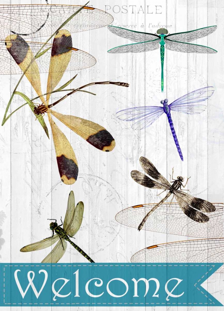 Wall Art Painting id:106596, Name: Welcome Dragonflies, Artist: Allen, Kimberly
