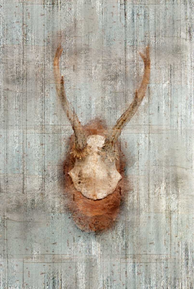 Wall Art Painting id:106624, Name: Antlers 1, Artist: Allen, Kimberly