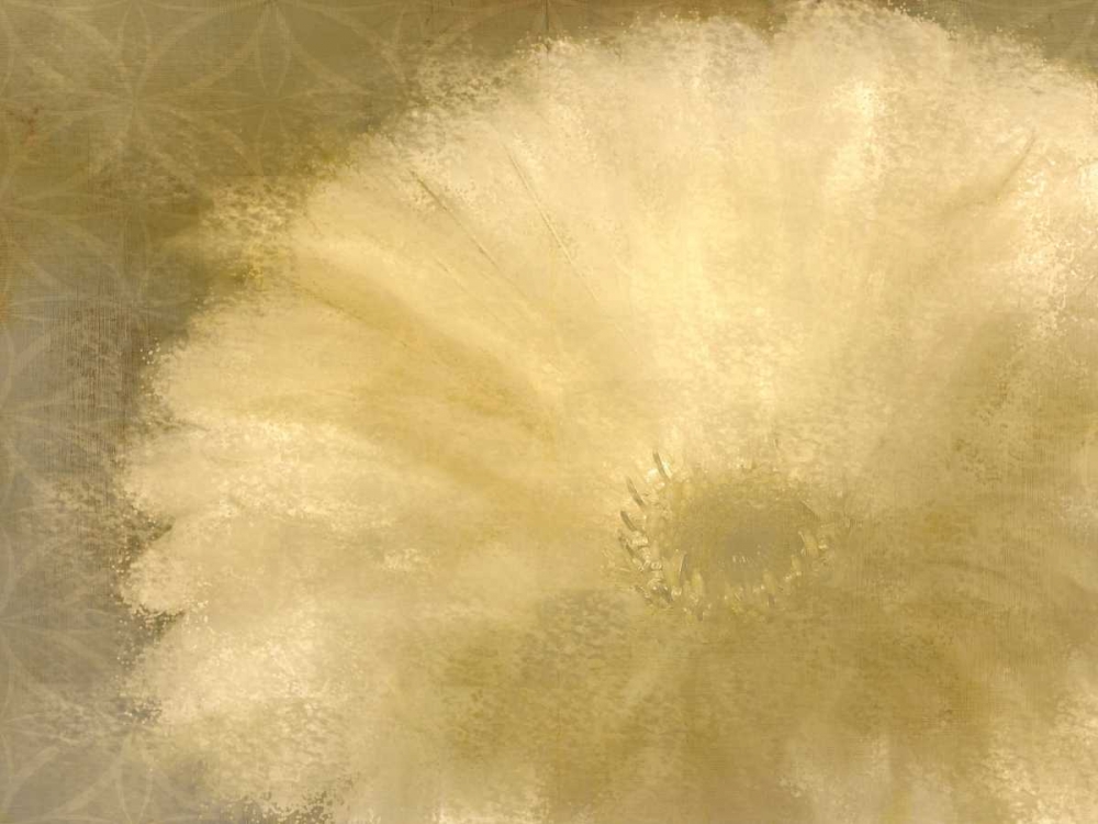 Wall Art Painting id:106649, Name: Golden Petals, Artist: Allen, Kimberly