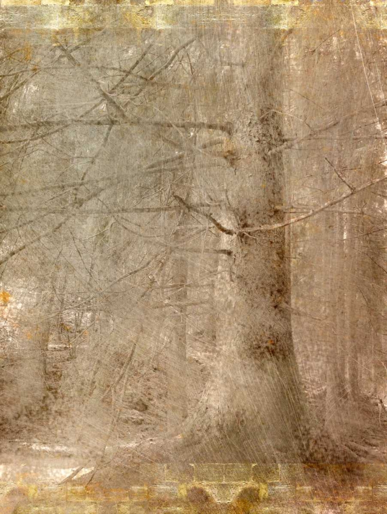 Wall Art Painting id:125812, Name: In the Forest, Artist: Allen, Kimberly