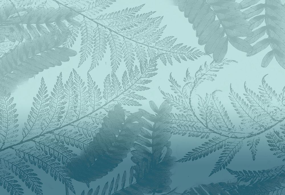 Wall art: Ombre Palms 2, by Allen, Kimberly