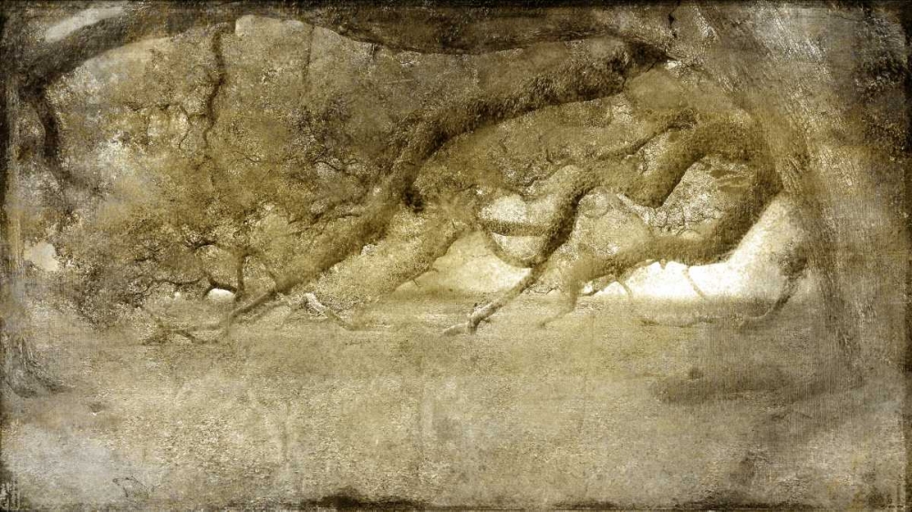 Art Print: Evergreen