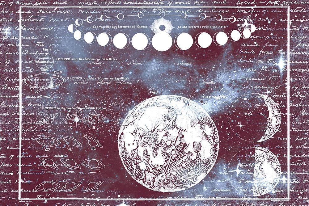 Wall Art Painting id:365656, Name: The Moon Chart, Artist: Allen, Kimberly