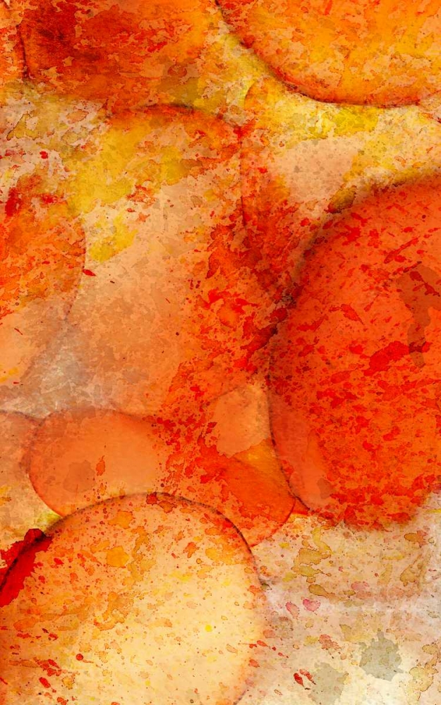 Wall Art Painting id:152097, Name: Orange Day B, Artist: Allen, Kimberly