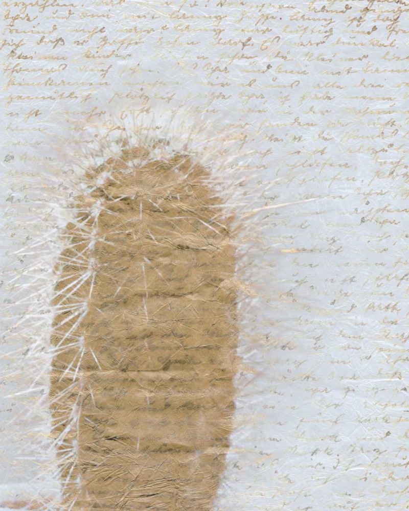 Wall Art Painting id:152109, Name: Desert Cacti 1, Artist: Allen, Kimberly