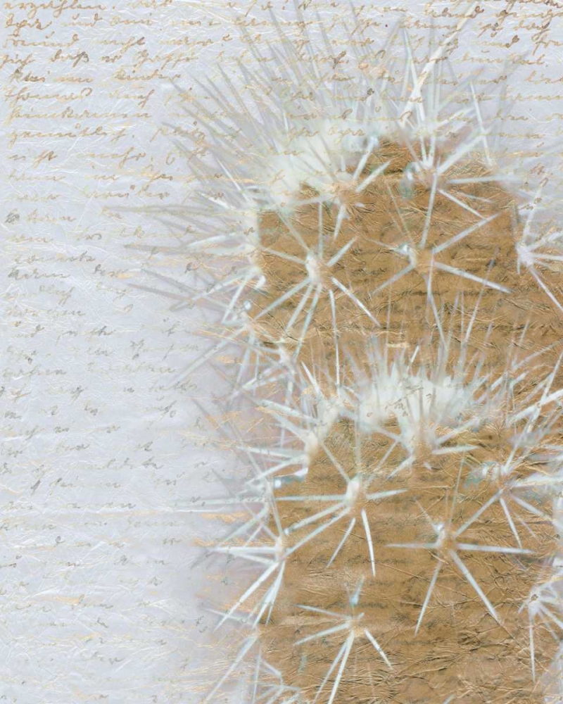Wall Art Painting id:152110, Name: Desert Cacti 2, Artist: Allen, Kimberly