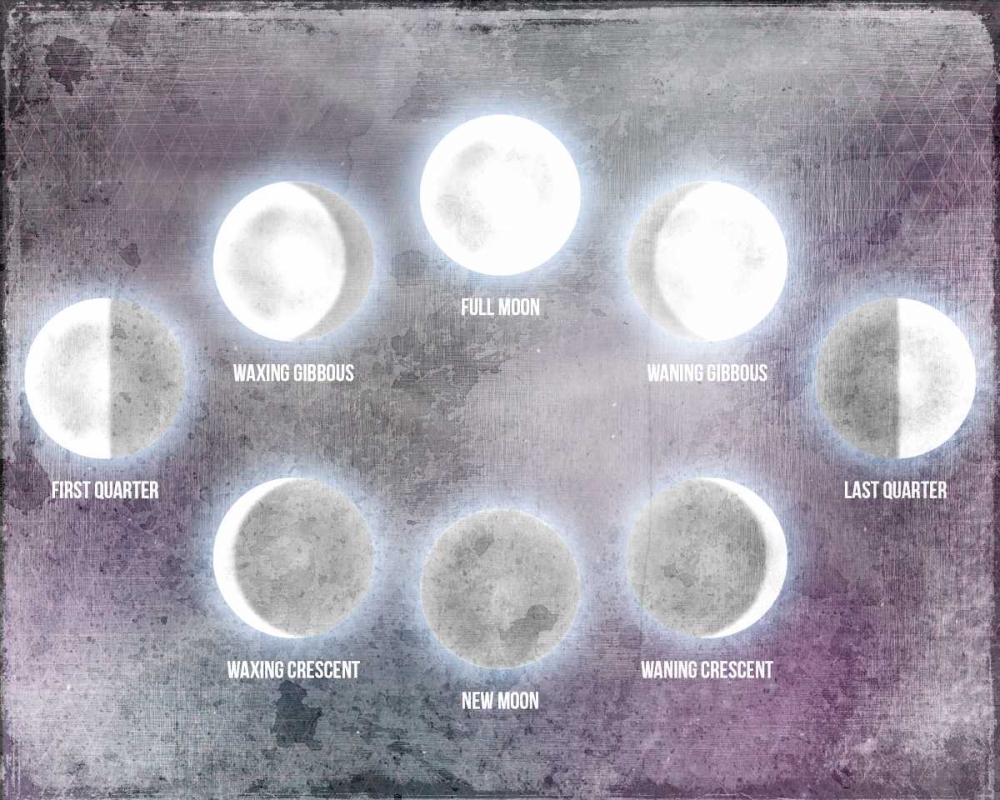 Wall Art Painting id:152129, Name: Phases of the Moon, Artist: Allen, Kimberly