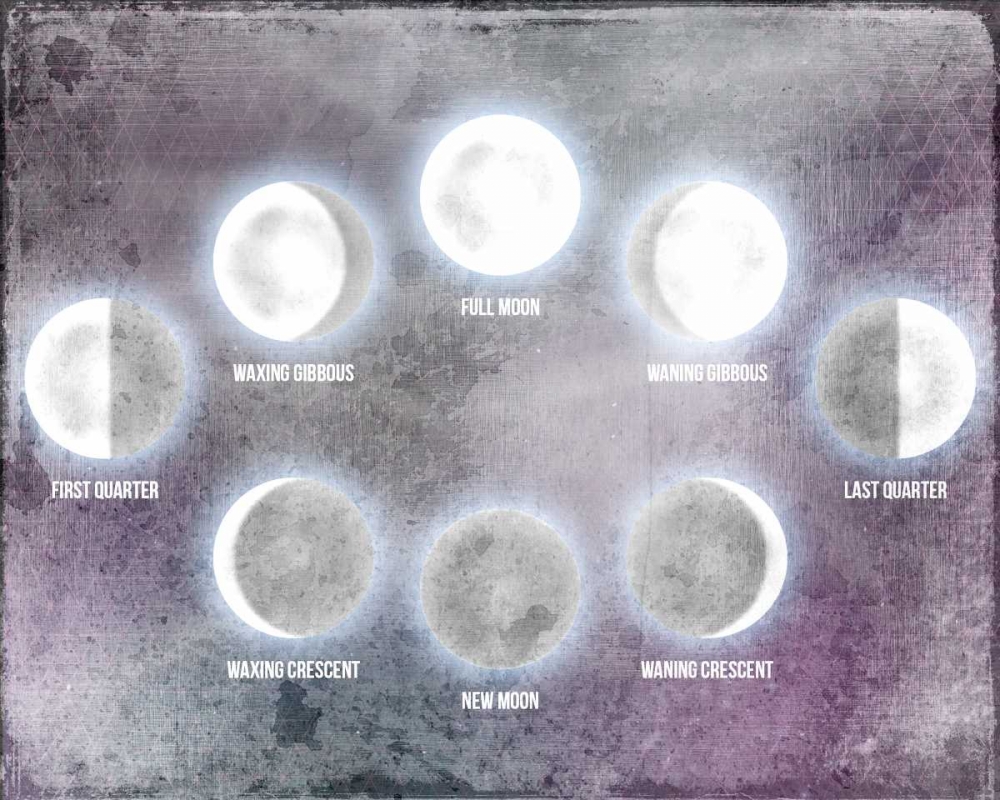 Wall art: Phases of the Moon, by Allen, Kimberly