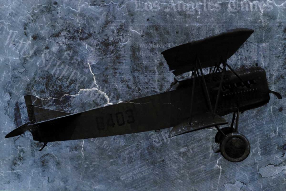 Wall Art Painting id:158548, Name: Indigo Plane, Artist: Allen, Kimberly