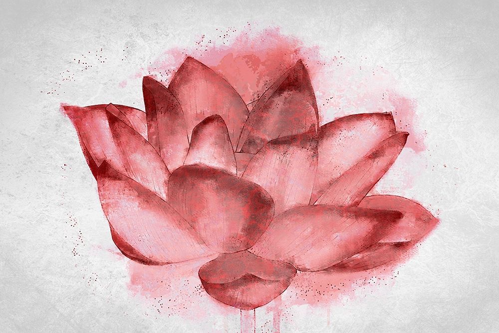 Wall art: Lotus Blossom, by Allen, Kimberly