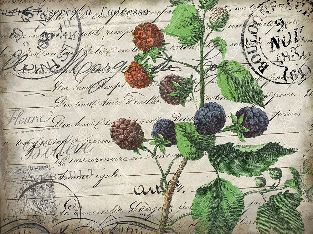 Wall art: Vintage Blackberries, by Allen, Kimberly