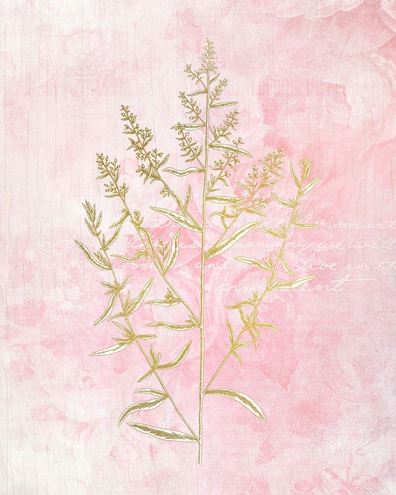 Wall Art Painting id:207557, Name: Botanical Pink 1, Artist: Kimberly, Allen