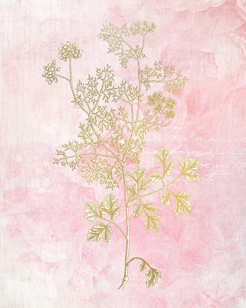 Wall Art Painting id:207559, Name: Botanical Pink 3, Artist: Kimberly, Allen