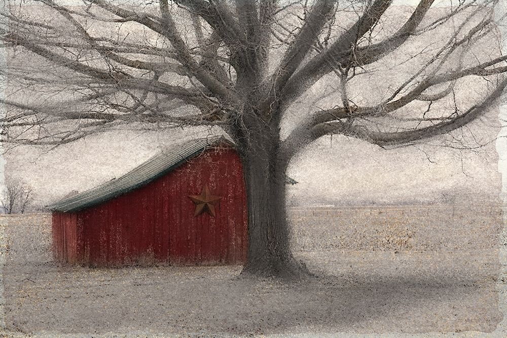 Wall Art Painting id:192098, Name: Barnyard Star, Artist: Allen, Kimberly