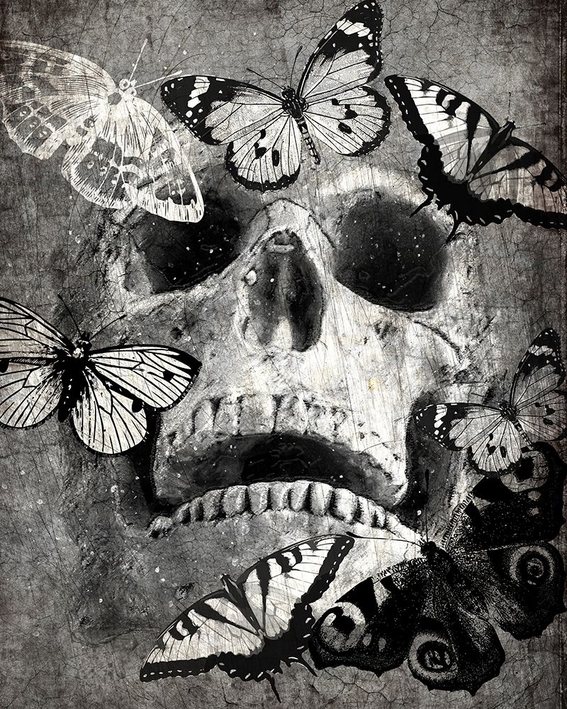 Wall Art Painting id:223202, Name: Butterfly Skull, Artist: Allen, Kimberly