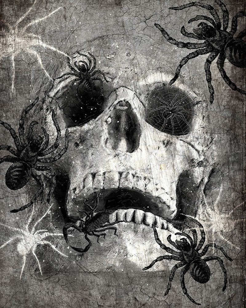 Wall Art Painting id:223203, Name: Spider  Skull, Artist: Allen, Kimberly