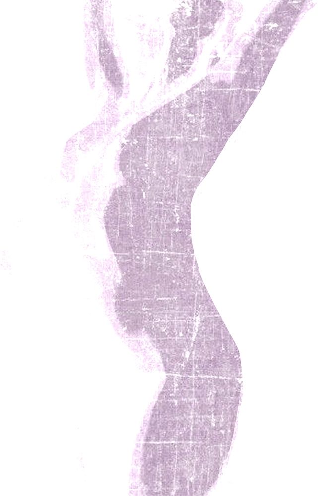 Wall Art Painting id:223335, Name: Violet Silhouette 2, Artist: Kimberly, Allen