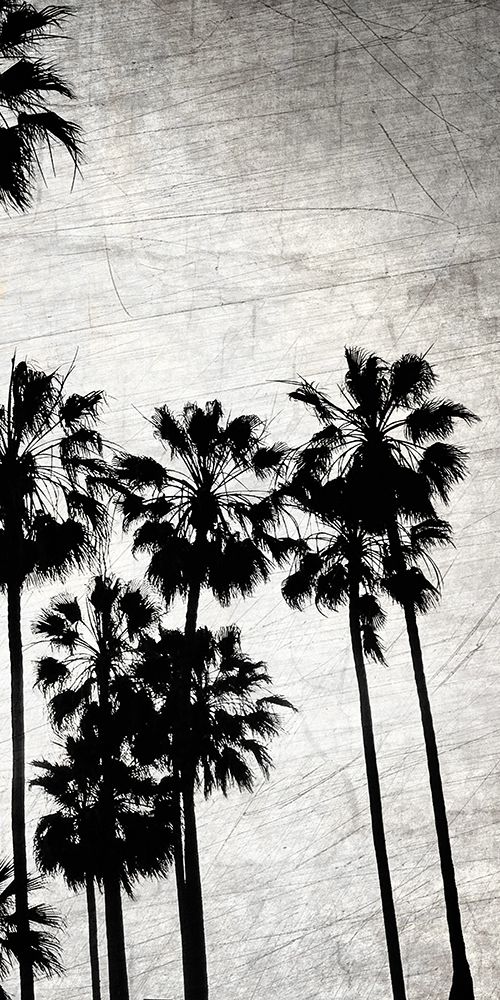 Art Print: Dusky Beach 6