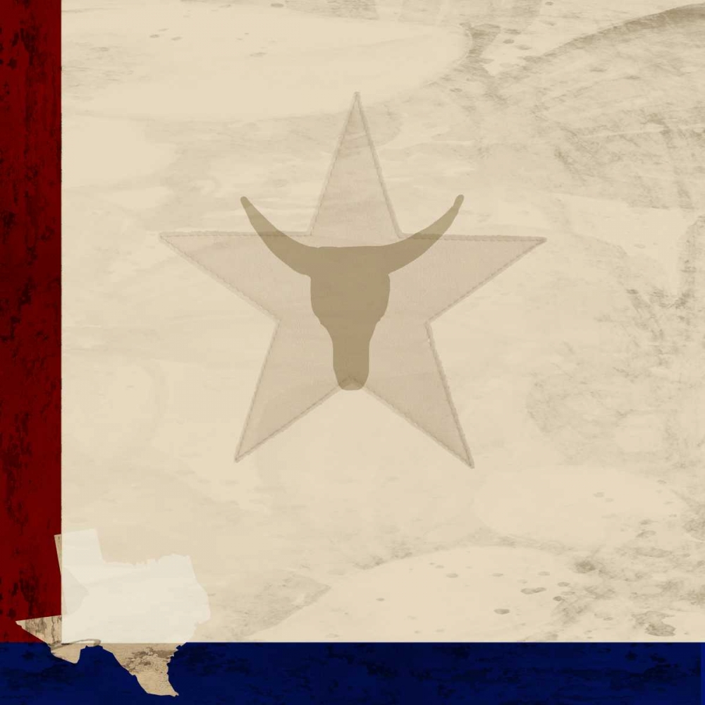 Wall art: Stars and Longhorns, by Allen, Kimberly