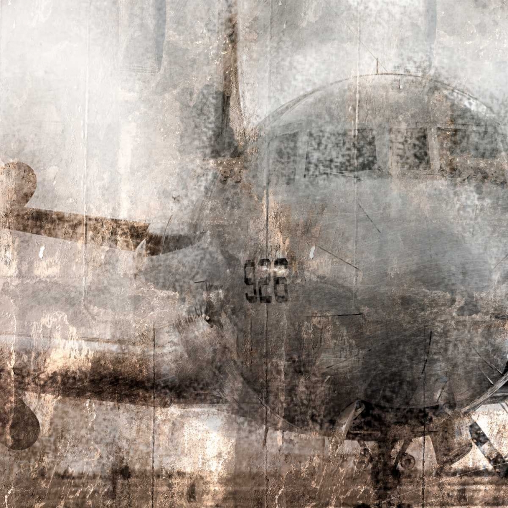 Wall Art Painting id:106662, Name: Oxidized Aircraft, Artist: Allen, Kimberly