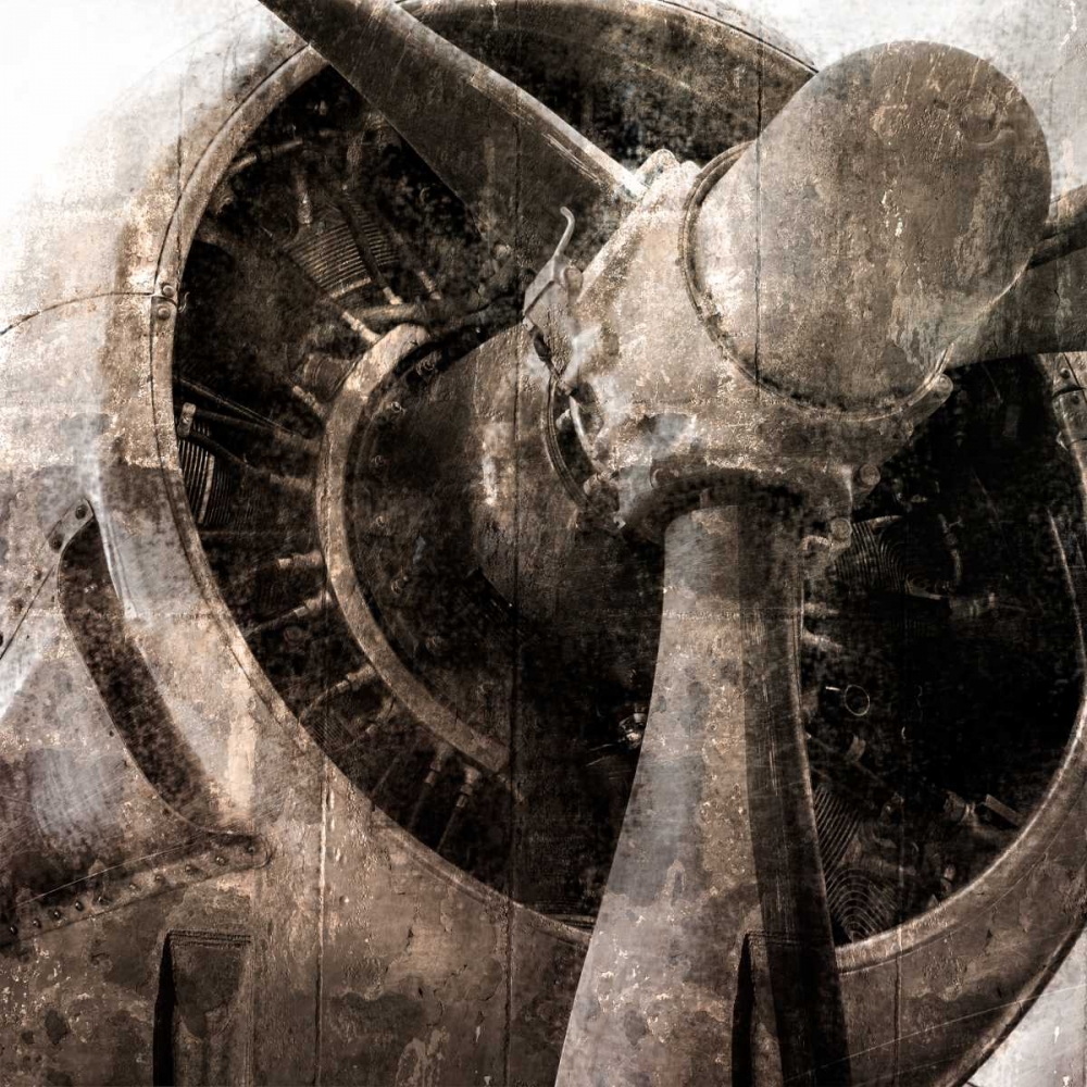 Wall Art Painting id:106663, Name: Tarnished Aircraft, Artist: Allen, Kimberly