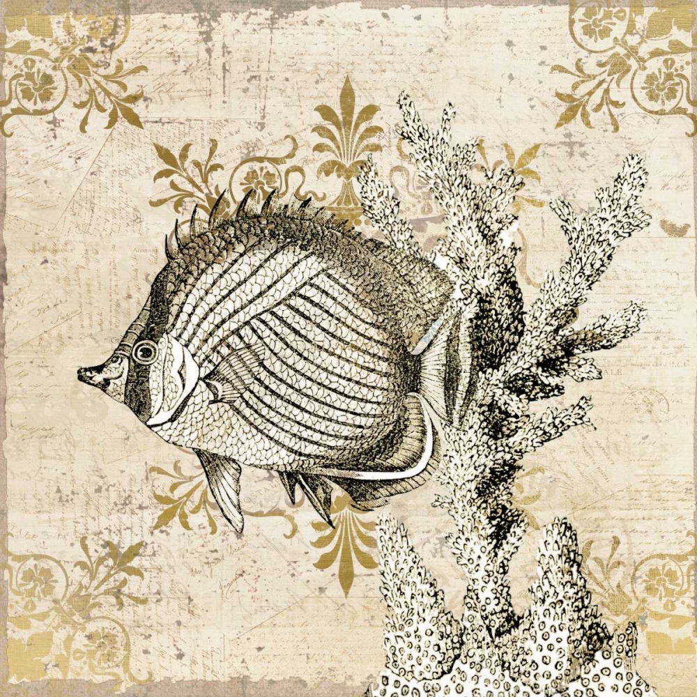 Wall Art Painting id:106672, Name: Marine Life 1, Artist: Allen, Kimberly