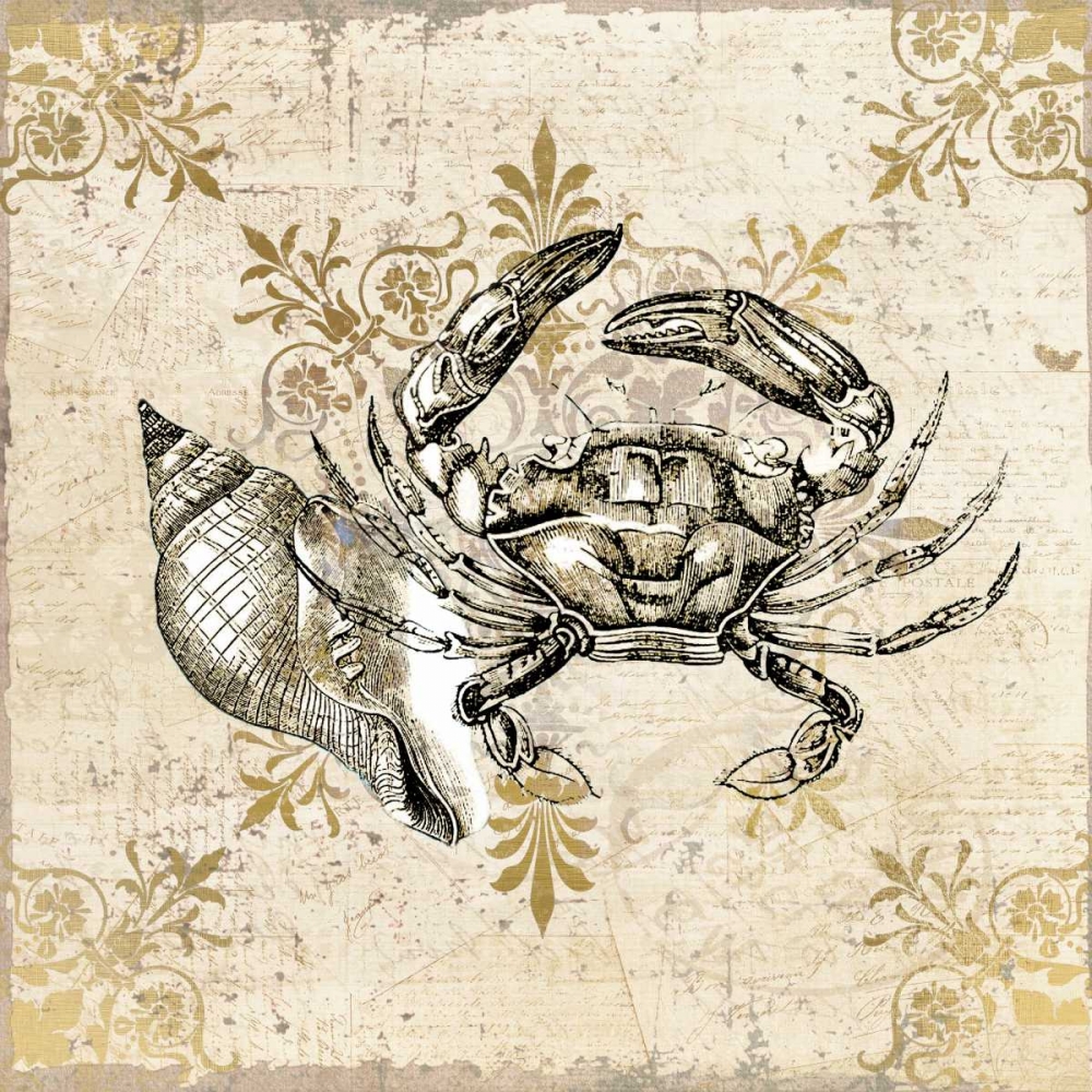 Wall Art Painting id:106674, Name: Marine Life 3, Artist: Allen, Kimberly