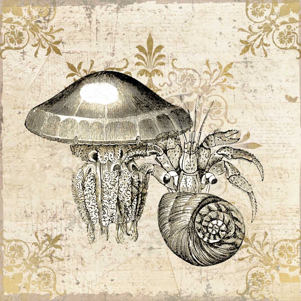 Wall Art Painting id:106676, Name: Marine Life, Artist: Allen, Kimberly