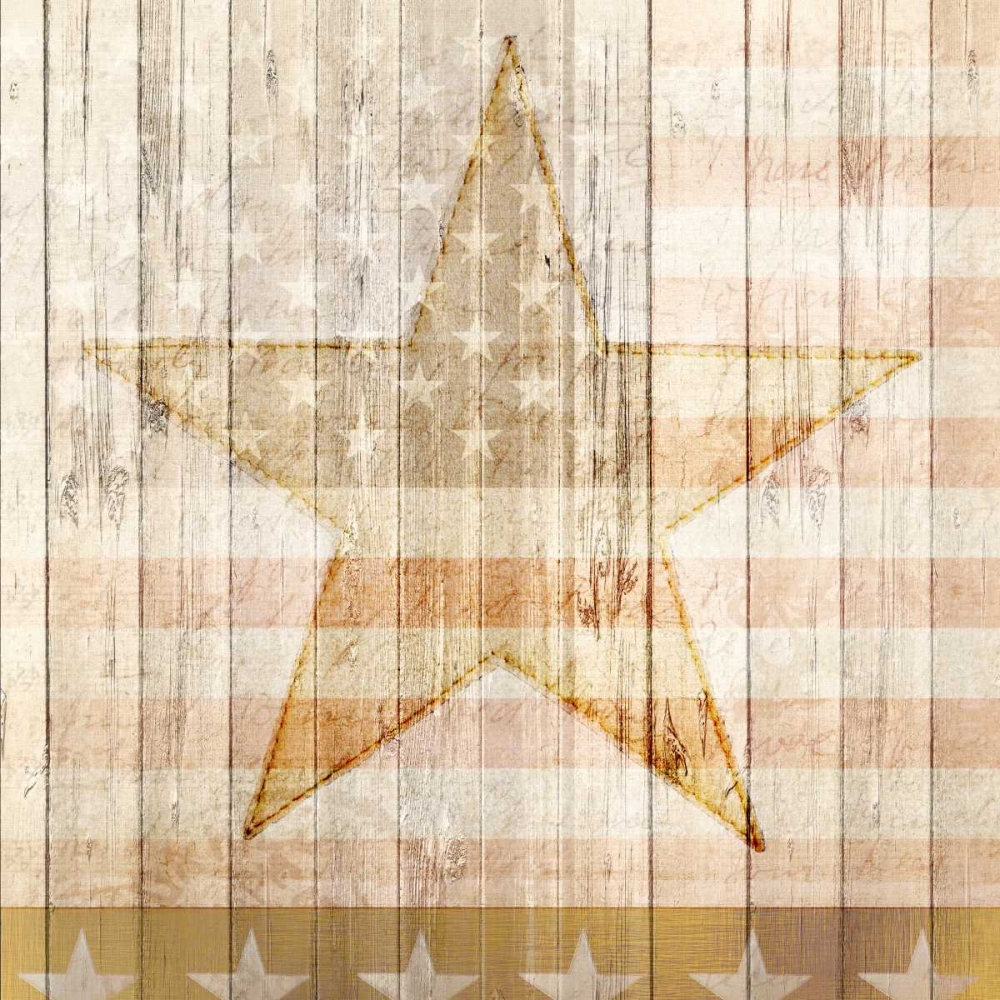Wall art: American Stars, by Allen, Kimberly