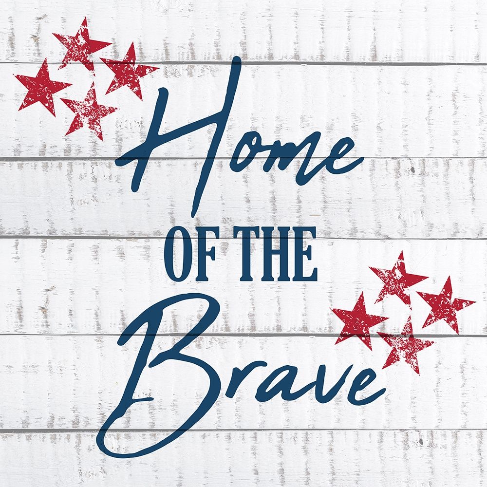 Wall Art Painting id:241243, Name: Home of the Brave, Artist: Kimberly, Allen