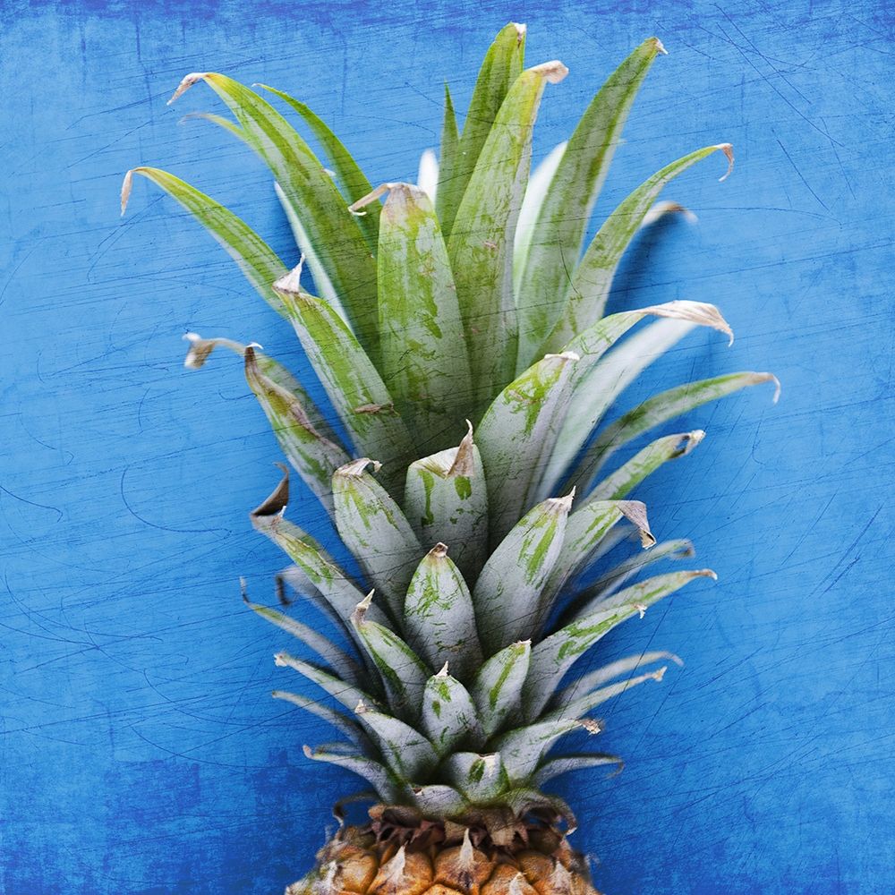 Art Print: Pineapple Blue 1