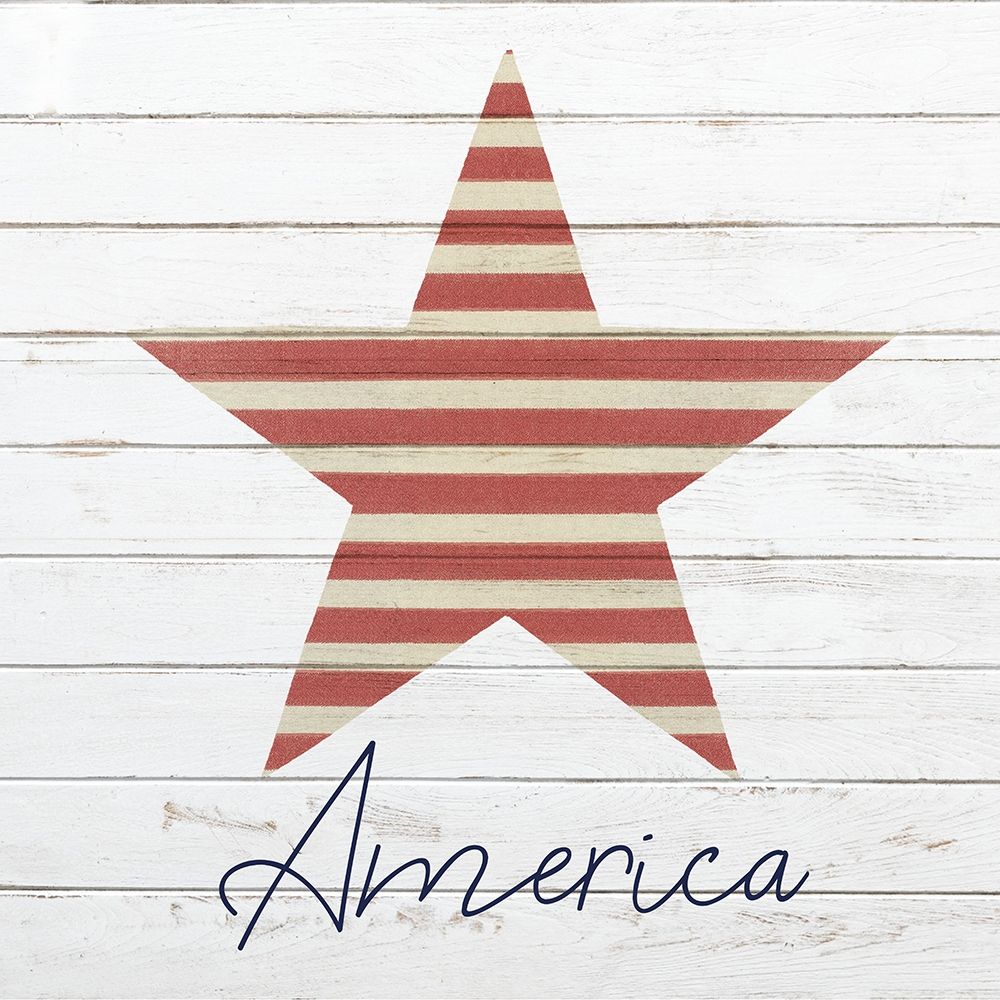 Wall Art Painting id:256711, Name: God Bless America 3, Artist: Kimberly, Allen