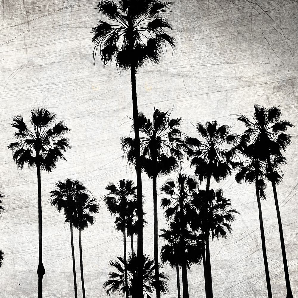 Art Print: Dusky Beach